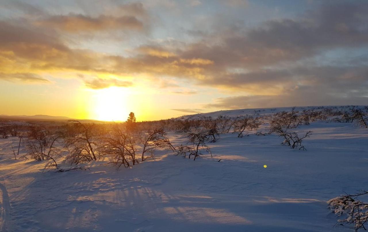 Arctic Lodge Hetan Kota Enontekiö Exteriér fotografie